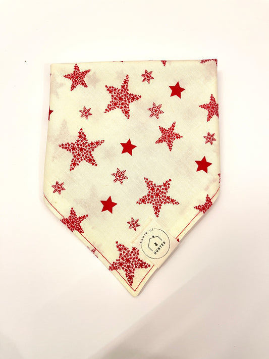 Seeing Stars