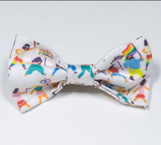 Pride Hair Clip